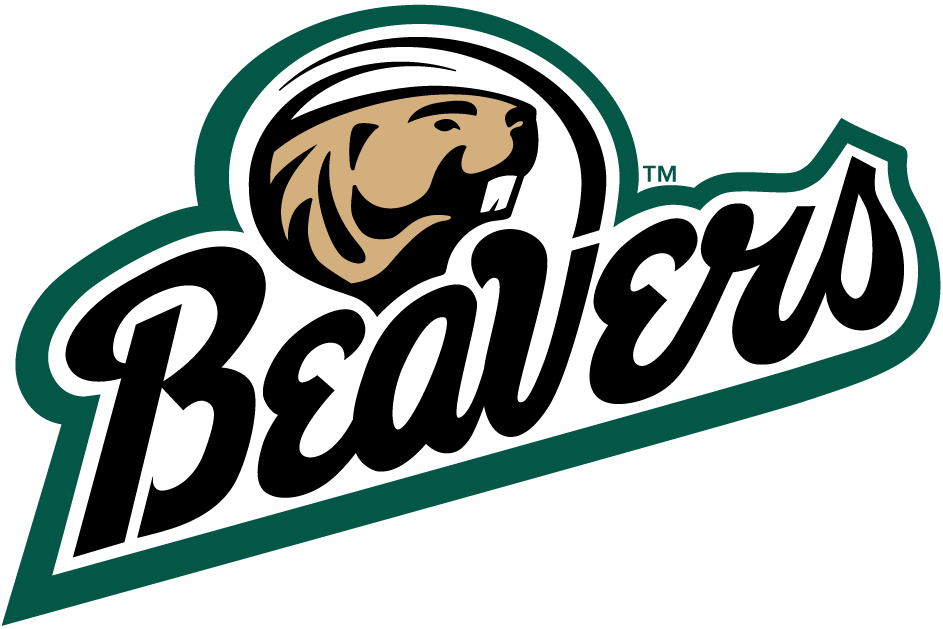 Bemidji State Beavers 2004-Pres Alternate Logo v2 diy fabric transfer